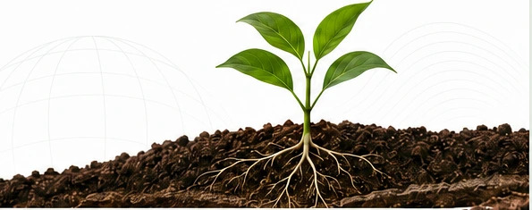 Take Organic Food and Stay Healthy