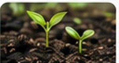 Biofertilizers &amp; Microbial Inputs